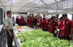JAWARA Tembakau 2026 Cetak Agropreneur Muda, Jaga Varietas Lokal Jatim