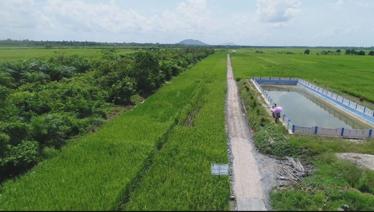 Ilustrasi musim kemarau/ist